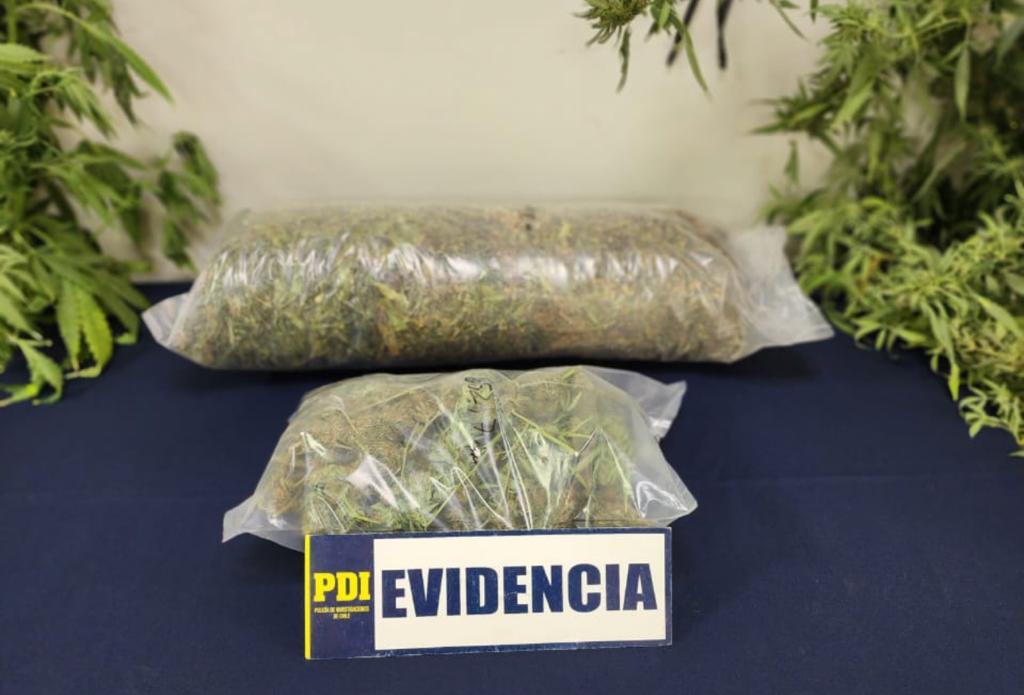 PLACILLA: PDI INCAUTÓ 2,5 KILOS DE CANNABIS GRACIAS DENUNCIA ANÓNIMA