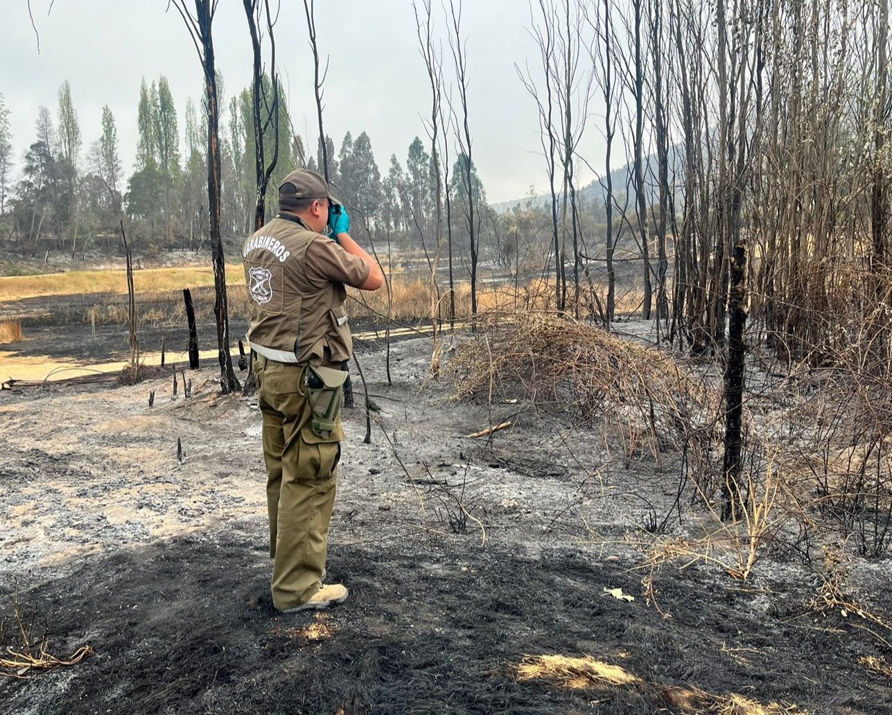 Carabineros detiene a autor de incendio forestal en Las Cabras
